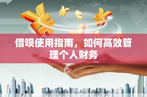 霍林郭勒借呗使用指南，如何高效管理个人财务