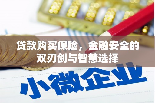 霍林郭勒贷款购买保险，金融安全的双刃剑与智慧选择