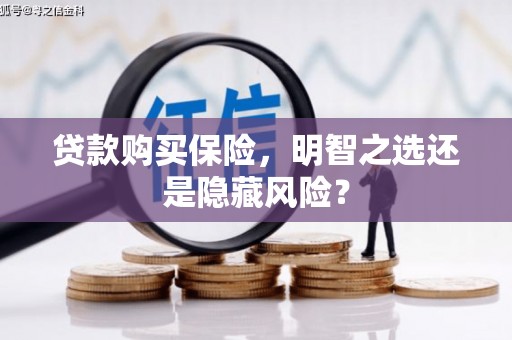 霍林郭勒贷款购买保险，明智之选还是隐藏风险？