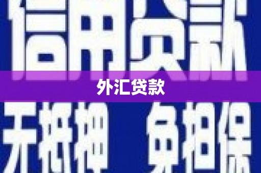 霍林郭勒外汇贷款