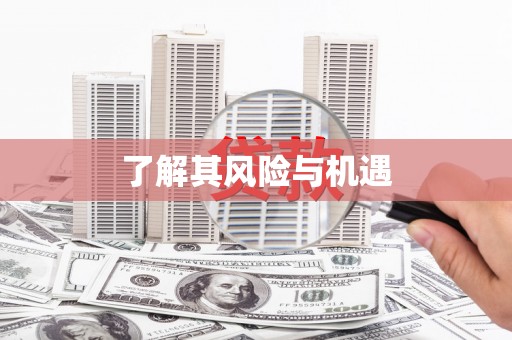 霍林郭勒了解其风险与机遇
