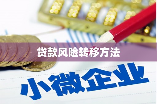 霍林郭勒贷款风险转移方法