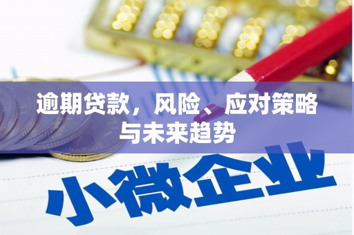 霍林郭勒逾期贷款，风险、应对策略与未来趋势
