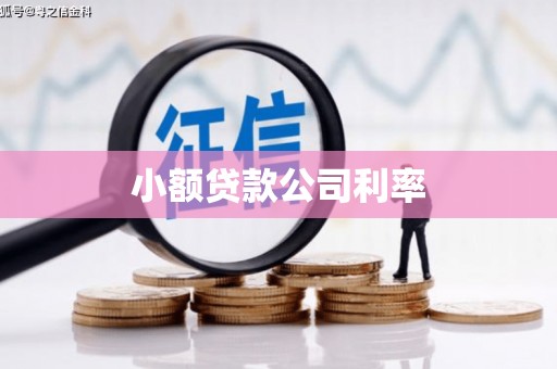 霍林郭勒小额贷款公司利率