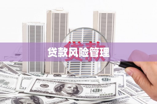 霍林郭勒贷款风险管理