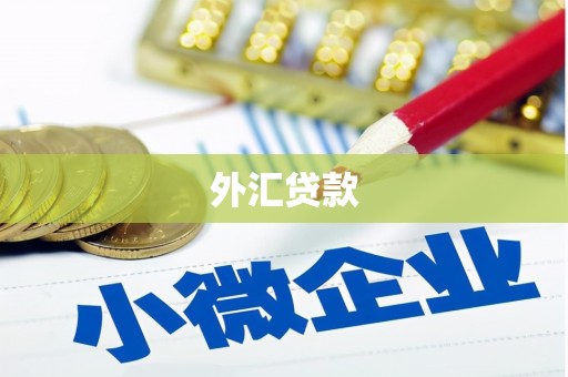 霍林郭勒外汇贷款