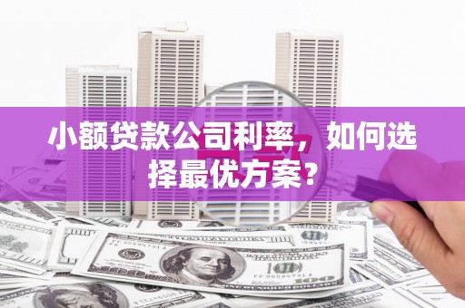 霍林郭勒小额贷款公司利率，如何选择最优方案？
