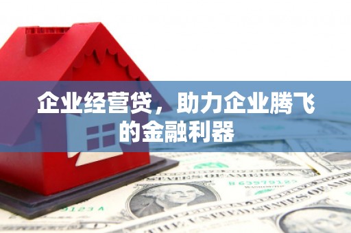 霍林郭勒企业经营贷，助力企业腾飞的金融利器