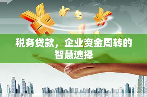 霍林郭勒税务贷款，企业资金周转的智慧选择
