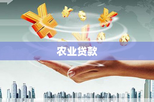 霍林郭勒农业贷款
