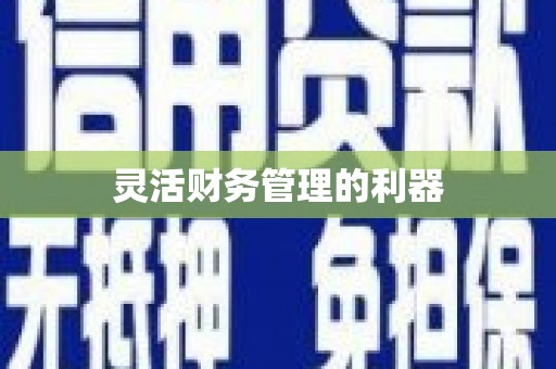 霍林郭勒灵活财务管理的利器