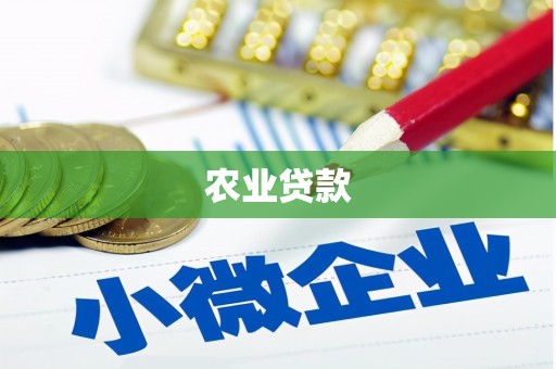 霍林郭勒农业贷款