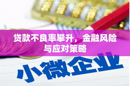 霍林郭勒贷款不良率攀升，金融风险与应对策略