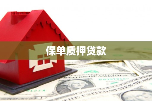 霍林郭勒保单质押贷款
