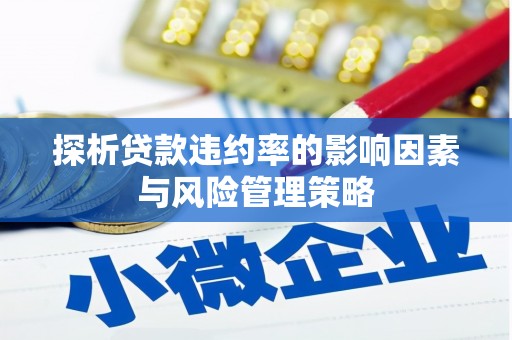 霍林郭勒探析贷款违约率的影响因素与风险管理策略