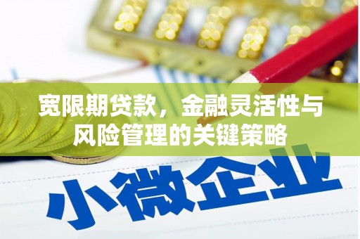 霍林郭勒宽限期贷款，金融灵活性与风险管理的关键策略