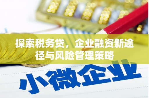 霍林郭勒探索税务贷，企业融资新途径与风险管理策略