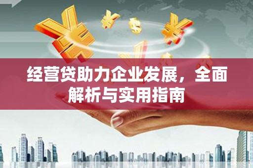 霍林郭勒经营贷助力企业发展，全面解析与实用指南