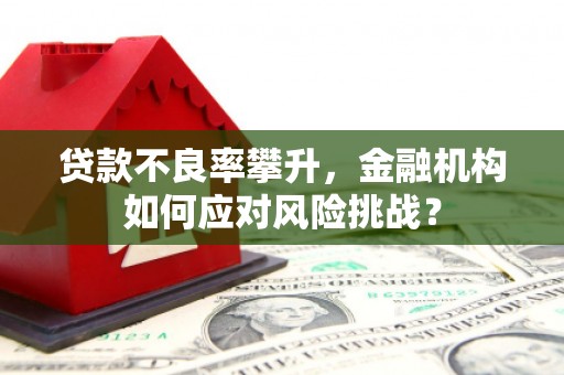 霍林郭勒贷款不良率攀升，金融机构如何应对风险挑战？
