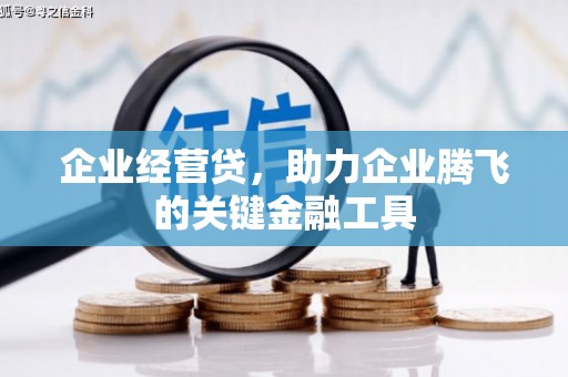 霍林郭勒企业经营贷，助力企业腾飞的关键金融工具
