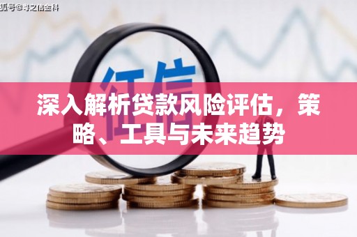 霍林郭勒深入解析贷款风险评估，策略、工具与未来趋势