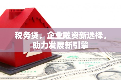 霍林郭勒税务贷，企业融资新选择，助力发展新引擎