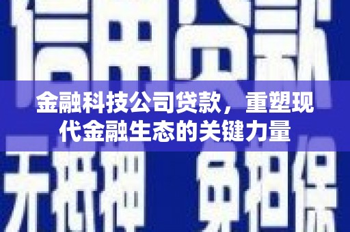霍林郭勒金融科技公司贷款，重塑现代金融生态的关键力量