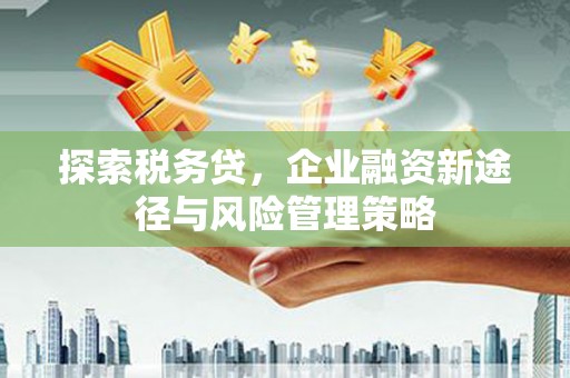 霍林郭勒探索税务贷，企业融资新途径与风险管理策略