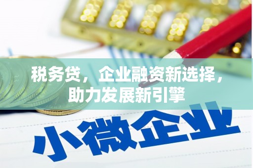 霍林郭勒税务贷，企业融资新选择，助力发展新引擎