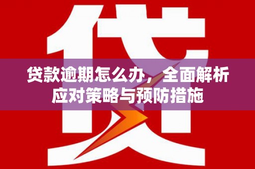 霍林郭勒贷款逾期怎么办，全面解析应对策略与预防措施