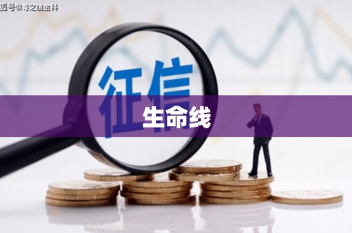 霍林郭勒生命线