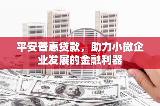 霍林郭勒平安普惠贷款，助力小微企业发展的金融利器