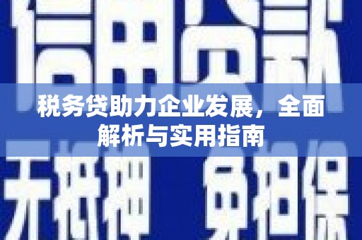 霍林郭勒税务贷助力企业发展，全面解析与实用指南