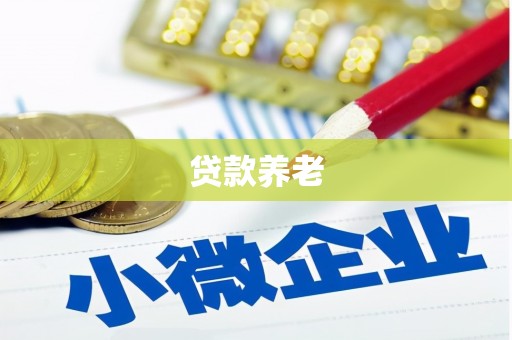 霍林郭勒贷款养老