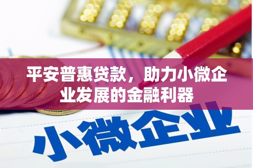 霍林郭勒平安普惠贷款，助力小微企业发展的金融利器