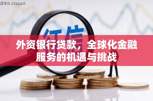 霍林郭勒外资银行贷款，全球化金融服务的机遇与挑战