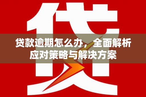 霍林郭勒贷款逾期怎么办，全面解析应对策略与解决方案