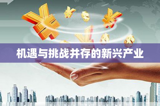 霍林郭勒机遇与挑战并存的新兴产业